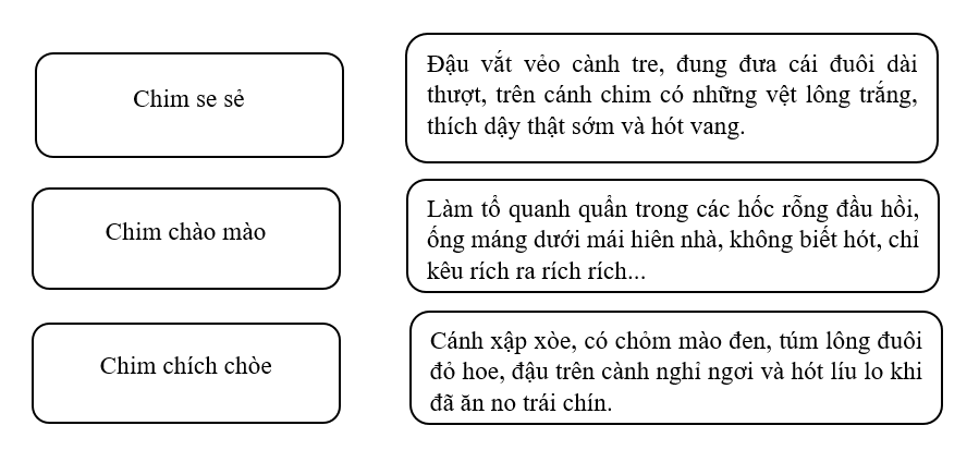 Tiếng Việt lớp 3 Tuần 20 Tiết 1 trang 6, 7 (Dành cho buổi học thứ hai)