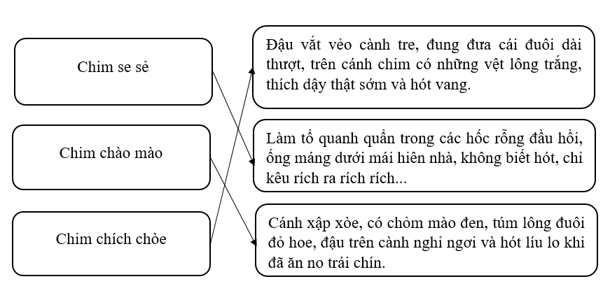 Tiếng Việt lớp 3 Tuần 20 Tiết 1 trang 6, 7 (Dành cho buổi học thứ hai)