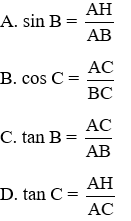 20 Bài tập trắc nghiệm Chương 1 Hình học 9 có đáp án