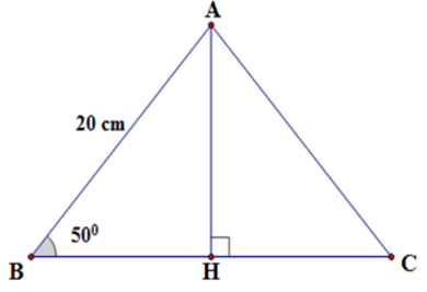 20 Bài tập trắc nghiệm Chương 1 Hình học 9 có đáp án