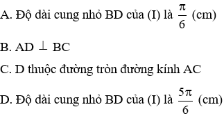 Trắc nghiệm Độ dài đường tròn, cung tròn có đáp án