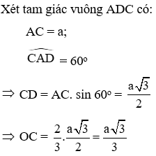 Trắc nghiệm Độ dài đường tròn, cung tròn có đáp án