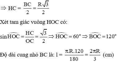 Trắc nghiệm Độ dài đường tròn, cung tròn có đáp án