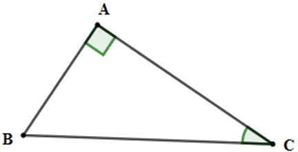 Trắc nghiệm Một số hệ thức về cạnh và góc trong tam giác vuông có đáp án