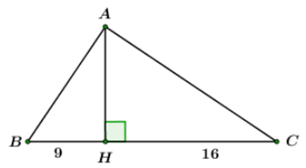 Trắc nghiệm Một số hệ thức về cạnh và góc trong tam giác vuông có đáp án (phần 2)