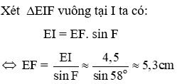 Trắc nghiệm Một số hệ thức về cạnh và góc trong tam giác vuông có đáp án (phần 2)