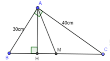 Trắc nghiệm Một số hệ thức về cạnh và đường cao trong tam giác vuông có đáp án (phần 2)