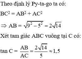 Trắc nghiệm Tỉ số lượng giác của góc nhọn có đáp án