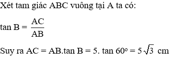 Trắc nghiệm Tỉ số lượng giác của góc nhọn có đáp án