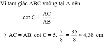 Trắc nghiệm Tỉ số lượng giác của góc nhọn có đáp án