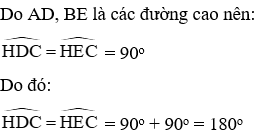 Trắc nghiệm Tứ giác nội tiếp có đáp án (phần 2)