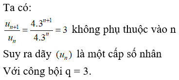 Bài tập trắc nghiệm Đại số và Giải tích 11 | Bài tập và Câu hỏi trắc nghiệm Đại số và Giải tích 11