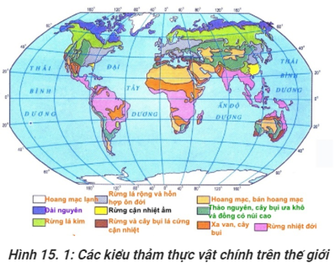 Trắc nghiệm Địa Lí 10 Bài 19 năm 2025 (có đáp án)