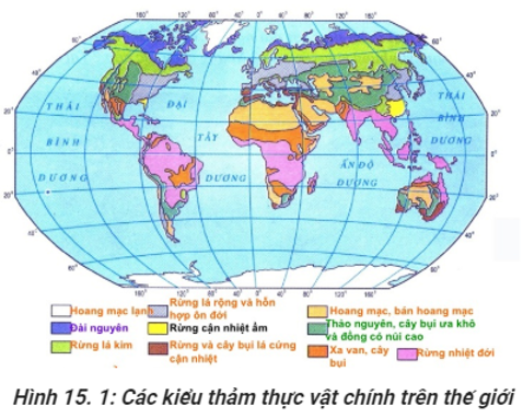 Trắc nghiệm Địa Lí 10 Bài 19 năm 2023 (có đáp án)