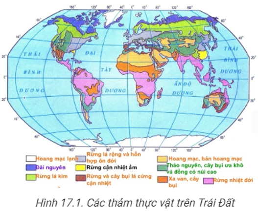 Trắc nghiệm Địa Lí 10 Bài 21 năm 2025 (có đáp án)