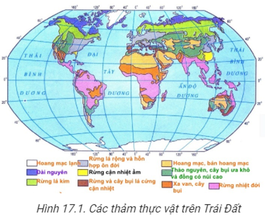 Trắc nghiệm Địa Lí 10 Bài 21 năm 2023 (có đáp án)