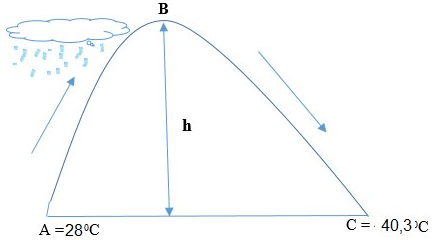 Trắc nghiệm Địa Lí 10 Chương 4 năm 2023 (có đáp án) (tiếp)