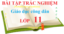 Trắc nghiệm GDCD 11 (có đáp án) | Câu hỏi trắc nghiệm Giáo dục công dân 11