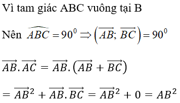 Bài tập trắc nghiệm Hình học 10 | Câu hỏi trắc nghiệm Hình học 10