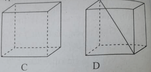 Bài tập trắc nghiệm Hình học 11 | Câu hỏi trắc nghiệm Hình học 11