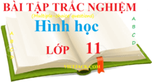 Bài tập trắc nghiệm Toán 11 năm 2024 (sách mới)