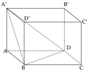 Bài tập trắc nghiệm Hình học 12 | Câu hỏi trắc nghiệm Hình học 12