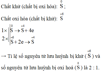 Bài tập trắc nghiệm Hóa học 10 có đáp án