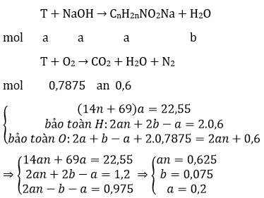 Bài tập trắc nghiệm Hóa 12 | Câu hỏi trắc nghiệm Hóa 12