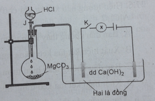 Bài tập trắc nghiệm Hóa 12 | Câu hỏi trắc nghiệm Hóa 12