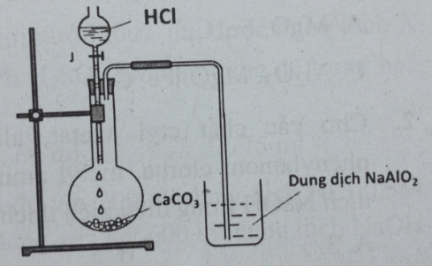 Bài tập trắc nghiệm Hóa 12 | Câu hỏi trắc nghiệm Hóa 12