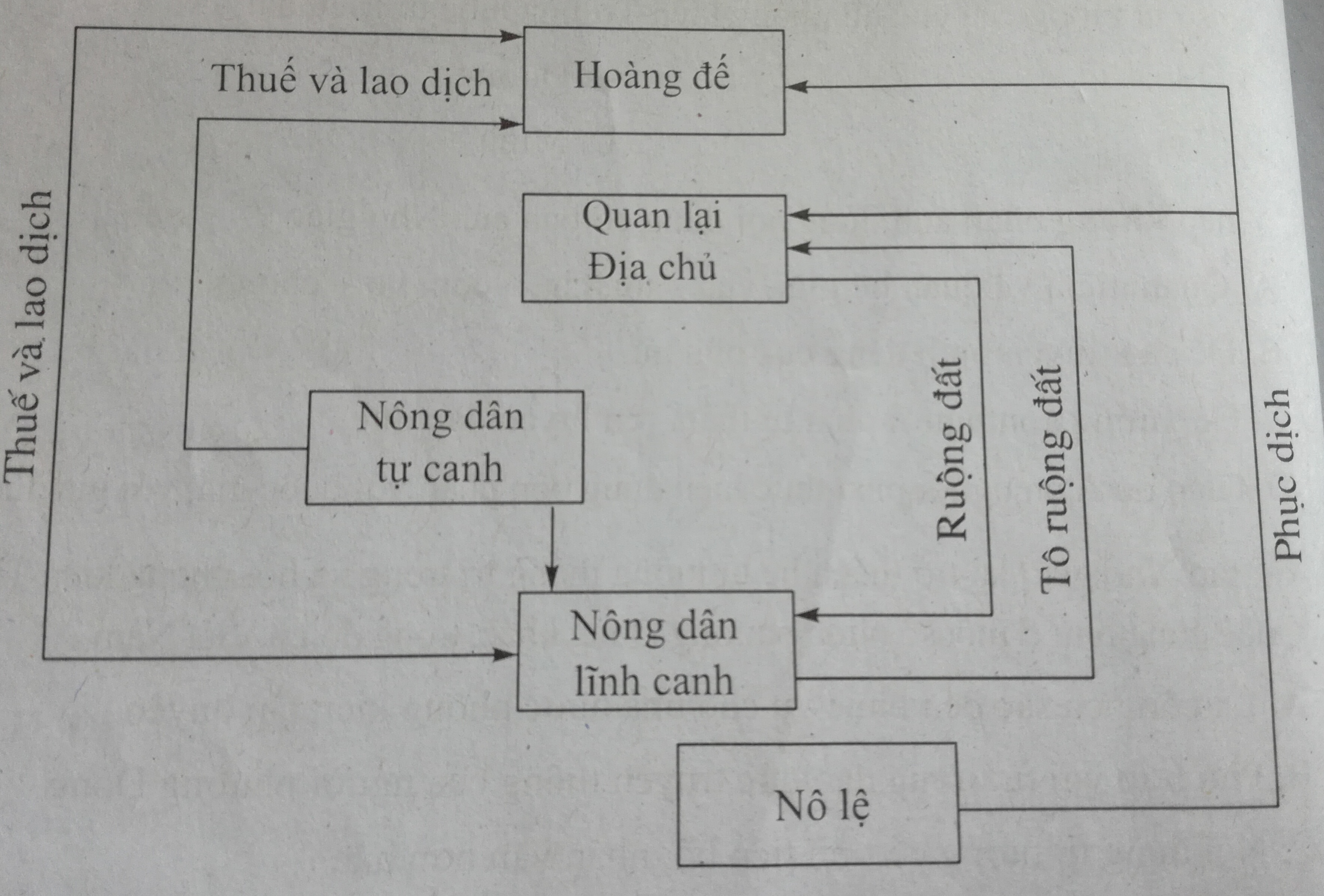 Bài tập trắc nghiệm Lịch Sử 10 | Câu hỏi trắc nghiệm Lịch Sử 10