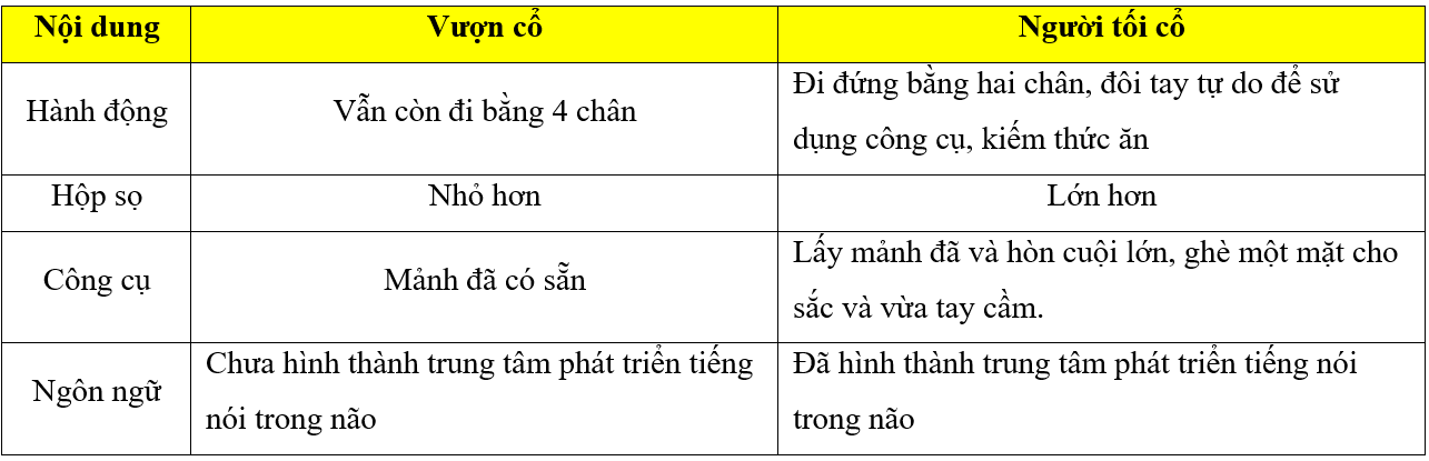 Trắc nghiệm Lịch Sử 10 Bài 1 năm 2023 (có đáp án)