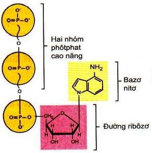 Bài 13: Khái quát về năng lượng và chuyển hóa vật chất