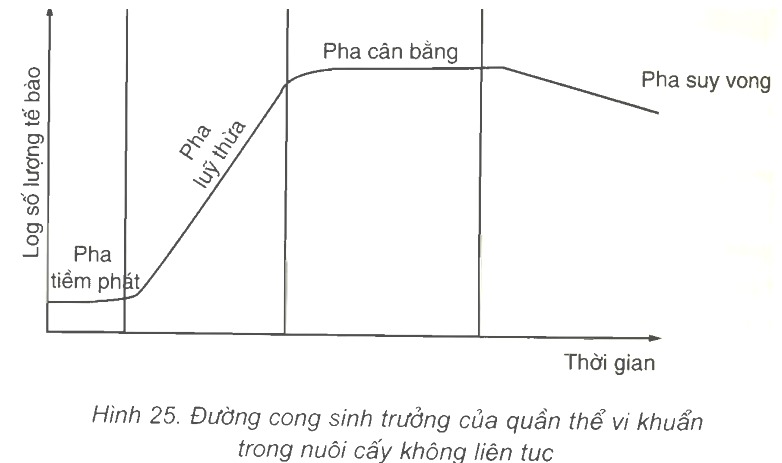 Bài 25: Sinh trưởng của vi sinh vật