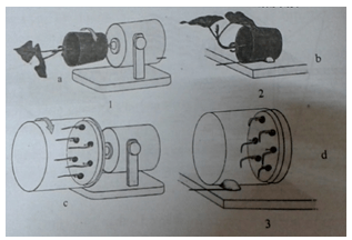 Bài tập trắc nghiệm Sinh học 11 | Câu hỏi trắc nghiệm Sinh học 11 có đáp án