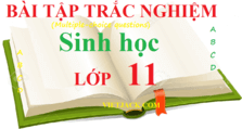 Bài tập trắc nghiệm Sinh học 11 | Câu hỏi trắc nghiệm Sinh học 11