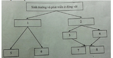 Bài tập trắc nghiệm Sinh học 11 | Câu hỏi trắc nghiệm Sinh học 11 có đáp án