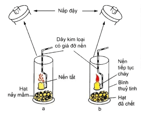 Trắc nghiệm Sinh 11 Bài 12 có đáp án năm 2023 (sách mới)