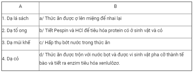 Trắc nghiệm Sinh 11 Bài 16 có đáp án năm 2023 (sách mới)