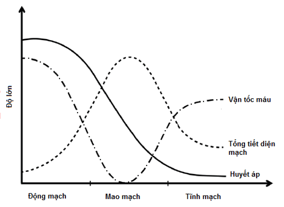 Trắc nghiệm Sinh 11 Bài 19 có đáp án năm 2023 (sách mới)