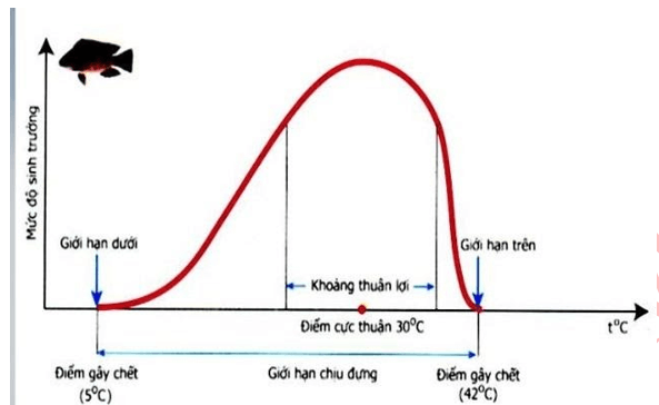 Trắc nghiệm Sinh học 11 Bài 39 năm 2023 (có đáp án)