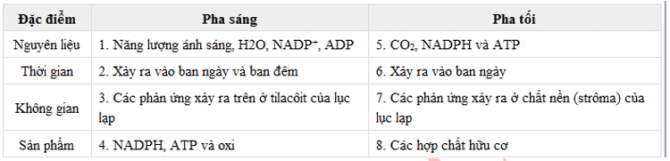 Trắc nghiệm Sinh 11 Bài 9 có đáp án năm 2023 (sách mới)