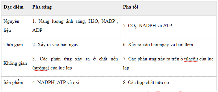 Trắc nghiệm Sinh 11 Bài 9 có đáp án năm 2023 (sách mới)