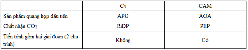 Trắc nghiệm Sinh 11 Bài 9 có đáp án năm 2023 (sách mới)