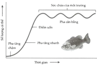 Trắc nghiệm Sinh học 12 Bài 1 (có đáp án): Gen, mã di truyền và quá trình nhân đôi ADN