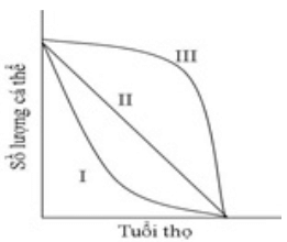 Trắc nghiệm Sinh học 12 Bài 1 (có đáp án): Gen, mã di truyền và quá trình nhân đôi ADN