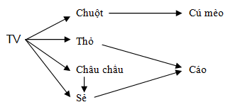 Trắc nghiệm Sinh học 12 Bài 1 (có đáp án): Gen, mã di truyền và quá trình nhân đôi ADN