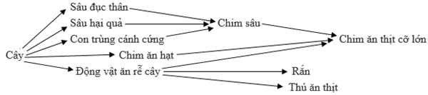 Trắc nghiệm Sinh học 12 Bài 1 (có đáp án): Gen, mã di truyền và quá trình nhân đôi ADN