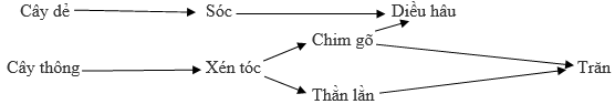 Trắc nghiệm Sinh học 12 Bài 1 (có đáp án): Gen, mã di truyền và quá trình nhân đôi ADN