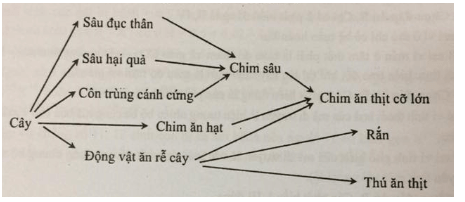 Trắc nghiệm Sinh học 12 Bài 1 (có đáp án): Gen, mã di truyền và quá trình nhân đôi ADN